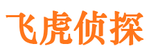 宁化市调查公司